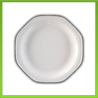 Dinner Plate for Hire